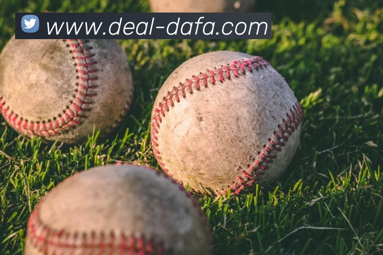 大发娱乐平台生态图